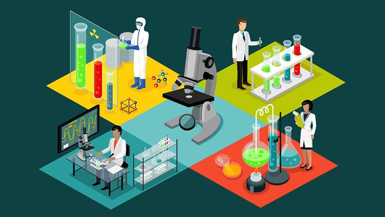 Cơ cấu và phân bố nhà nghiên cứu năm 2023