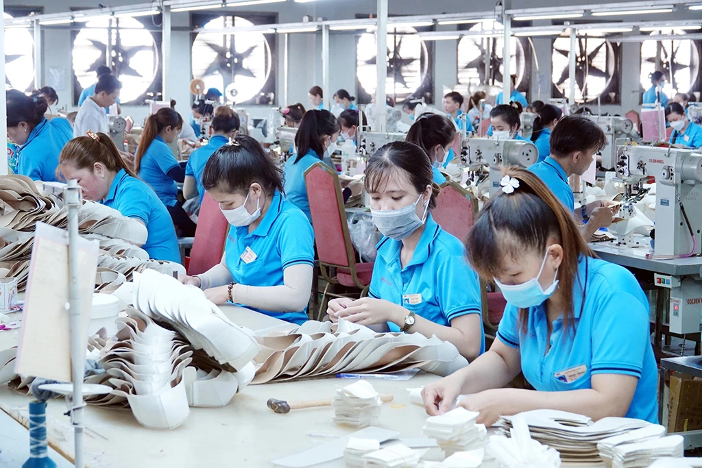 Số lao động trong các doanh nghiệp đang hoạt động tại Cần Thơ năm 2023 (thời điểm 31/12)